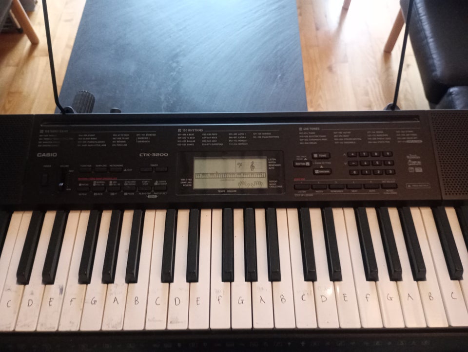 Keyboard, Casio CTK-3000