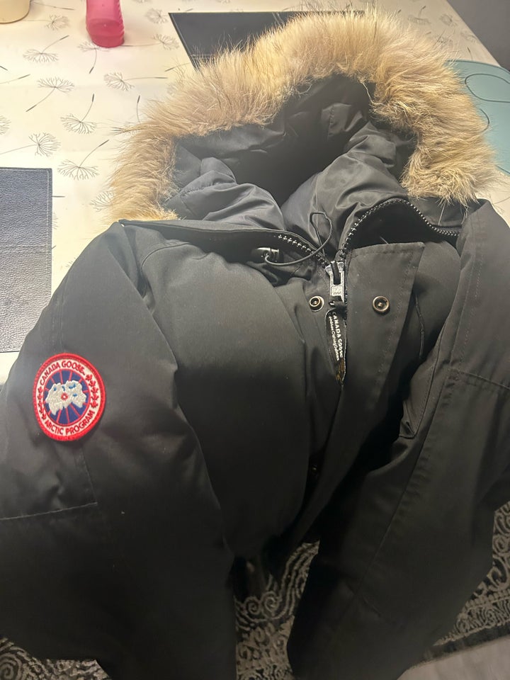 Jakke, str. XL, Canada goose