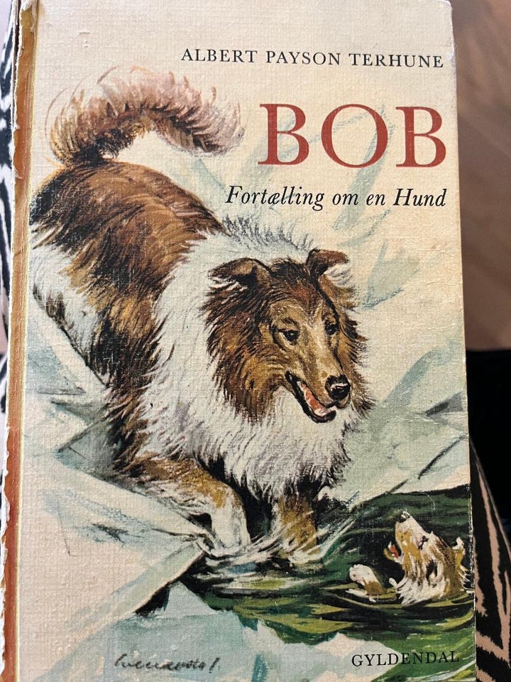 Bob - Fortælling om en hund, Albert