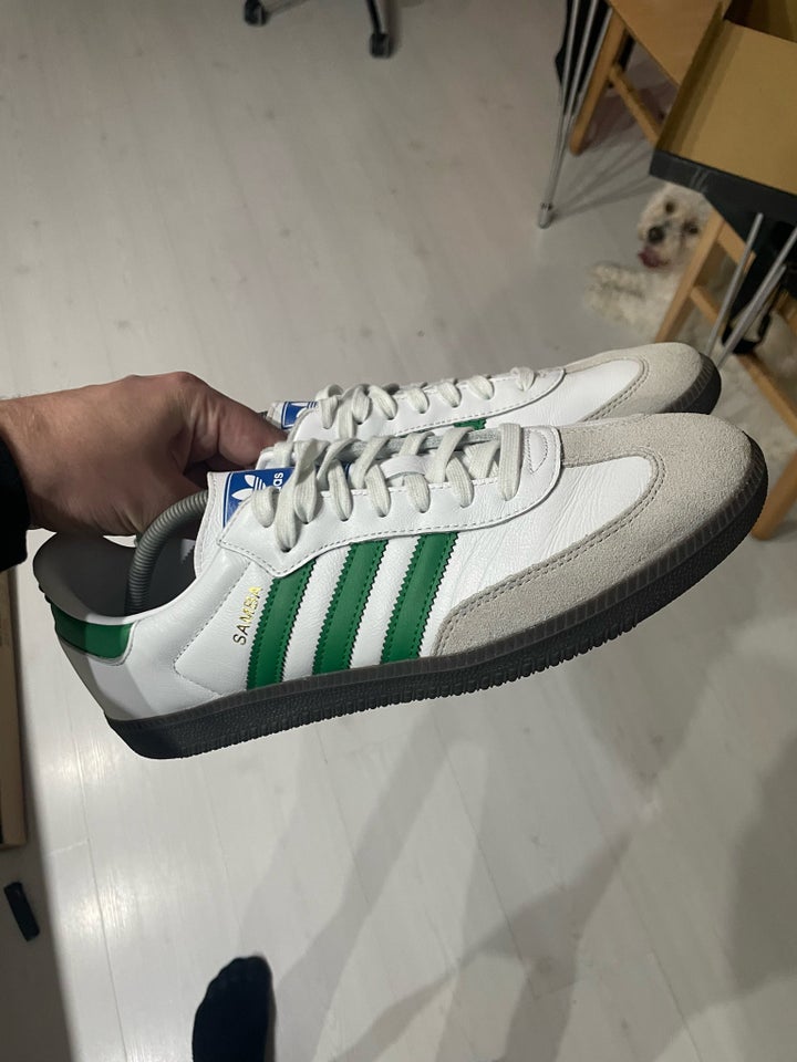 Sneakers Adidas str 445