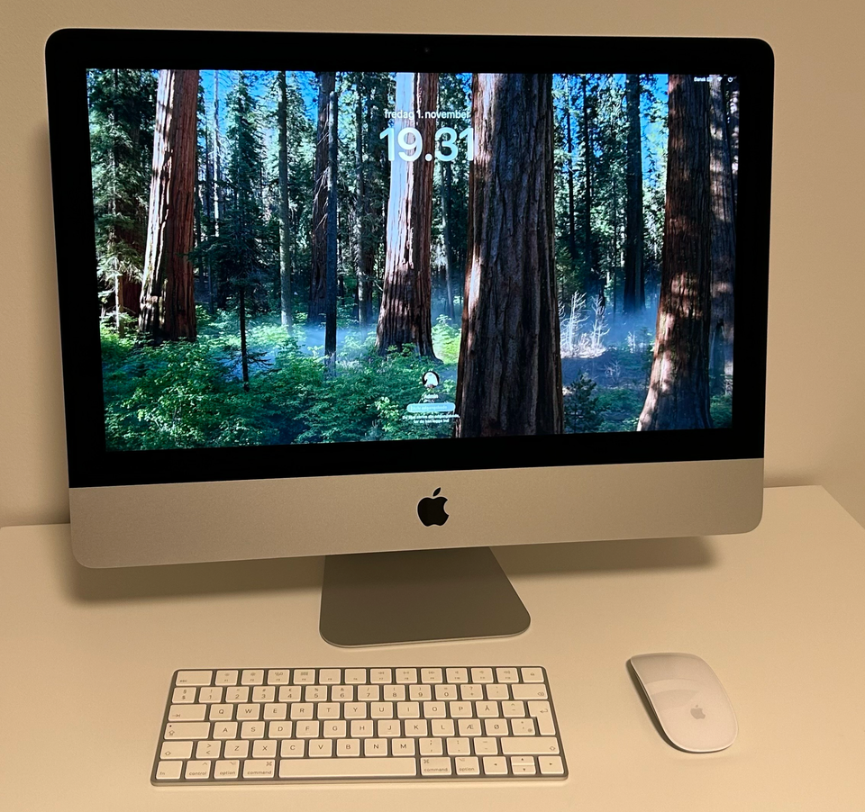 iMac, 2019 21.5" 4K 500GB SSD