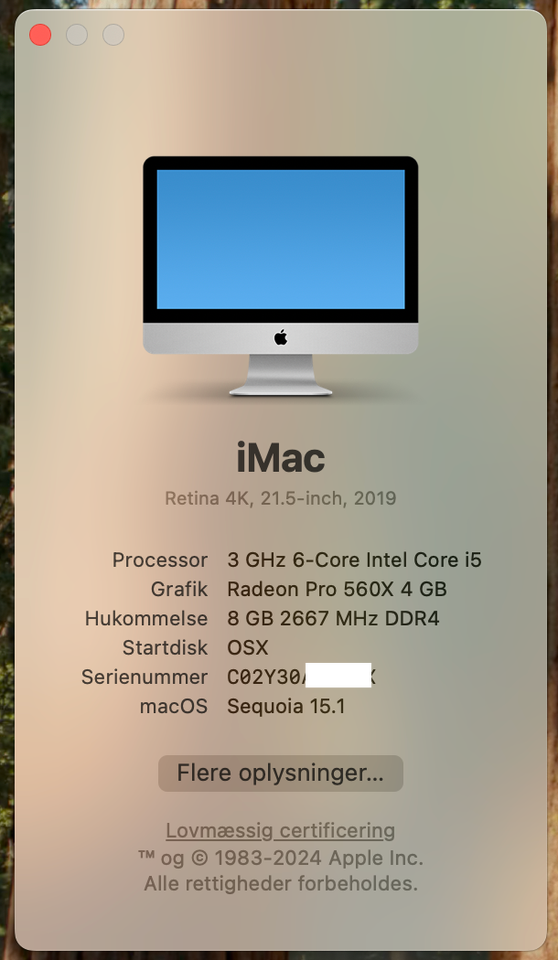 iMac, 2019 21.5" 4K 500GB SSD