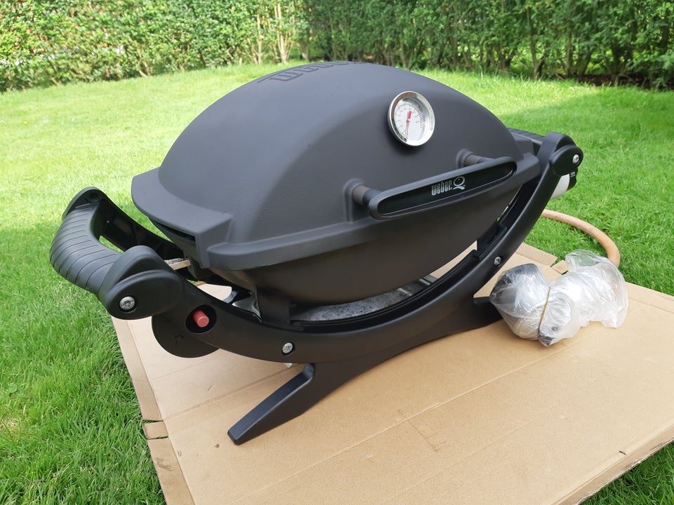 Gasgrill, Weber grillQ100