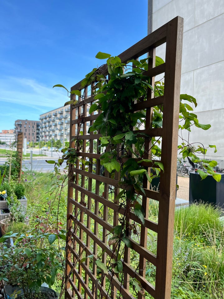 Plantekasser med espalier