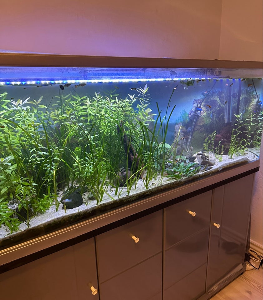 Akvarie ca 500 liter