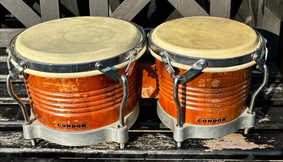 Bongos Condor