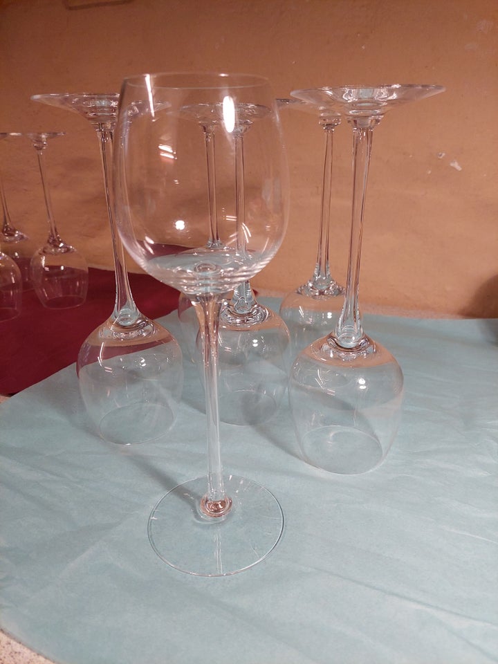 Glas 6 Fontaine rødvinsglas