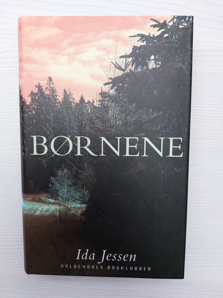 Flere, Ida Jessen, genre: roman