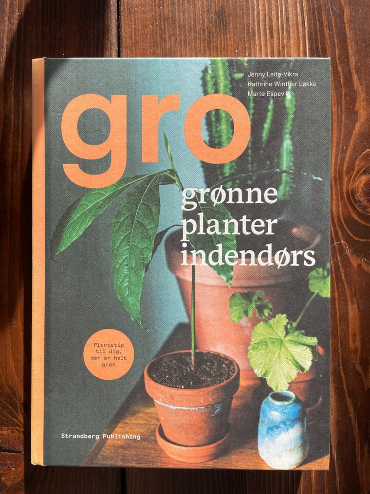 Gro grønne planter indendørs ,