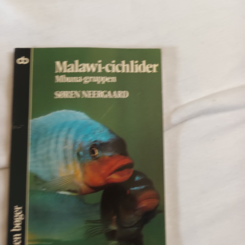 Malawi-cichlider, Søren