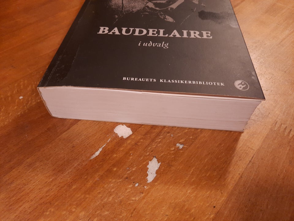 BAUDELAIRE i udvalg (2. revidere