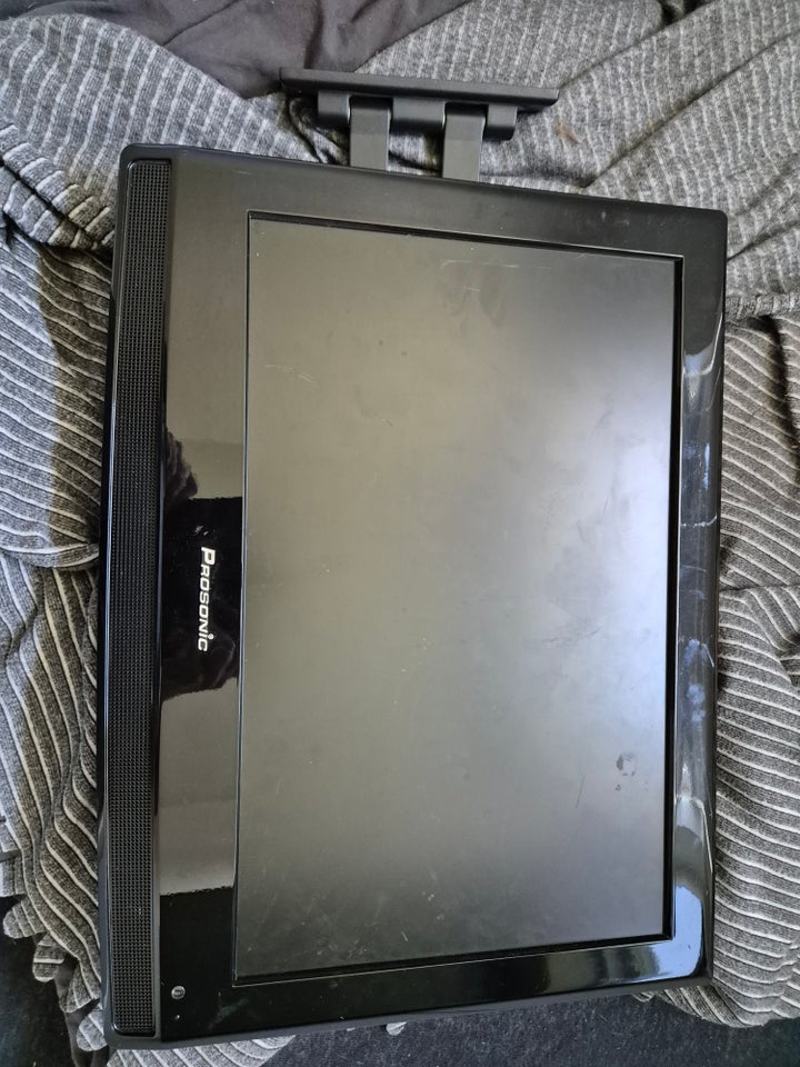 LCD, Prosonic, 19"