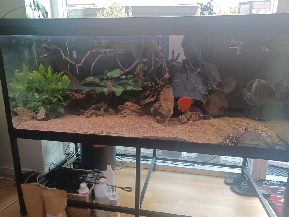 Akvarium, 720 liter, b: 160 d: 75 h: