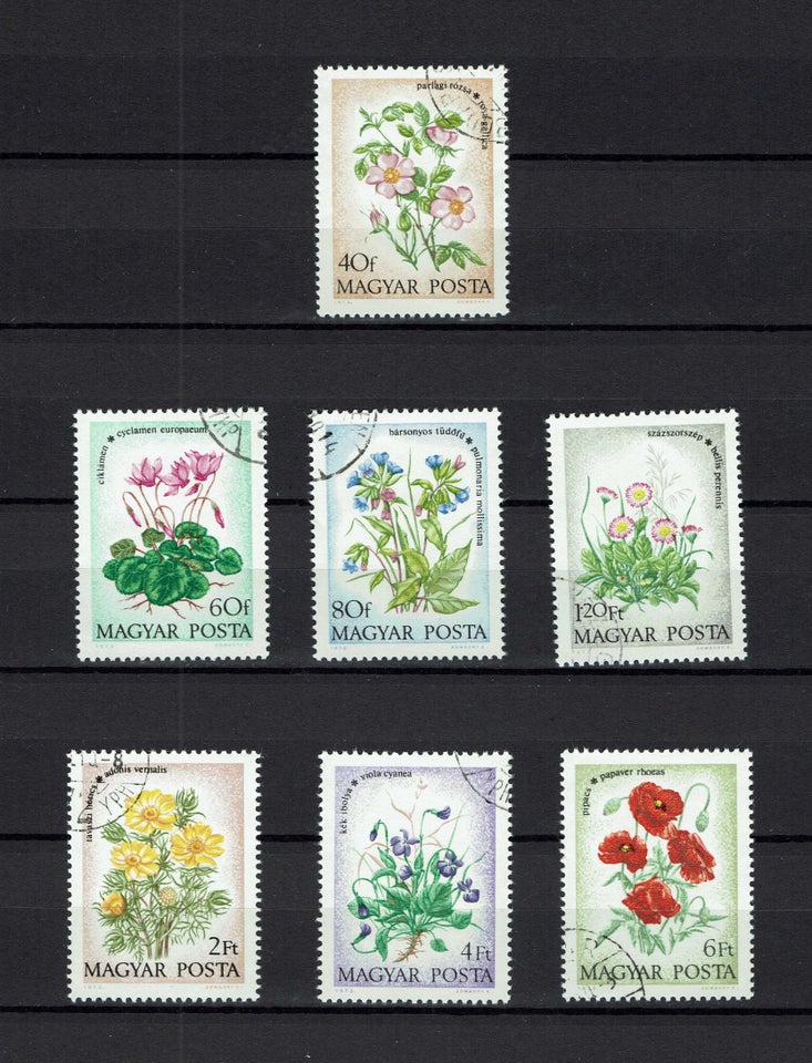 Ungarn, stemplet, Blomster ( 5651 )