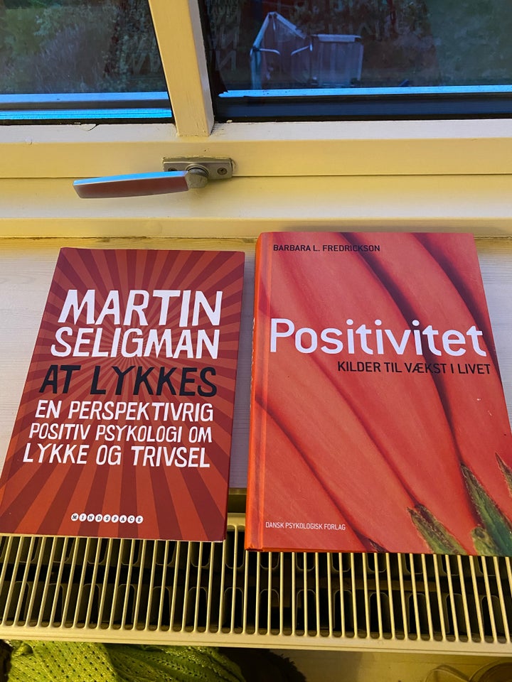 Positivitet emne: personlig