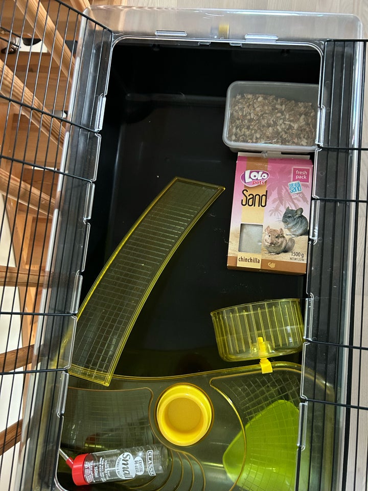 Hamster, 0 år