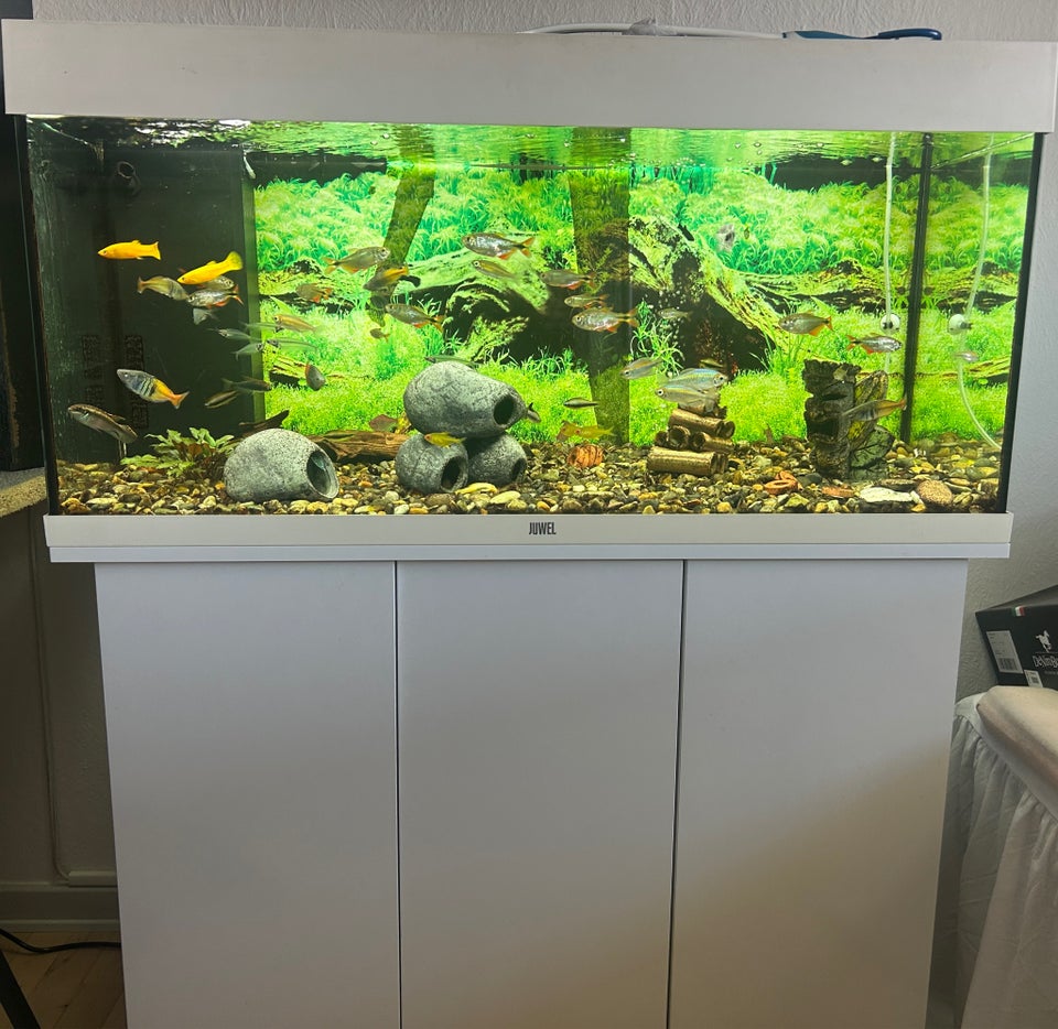 Akvarium, 180 liter