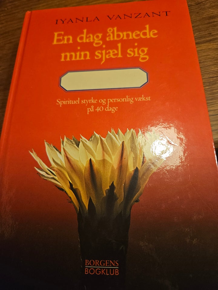 En dag åbende min sjæl sig, Iyanla