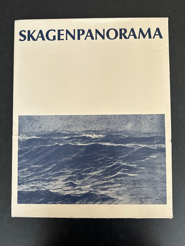 Skagenpanorama, Knud Voss, emne: