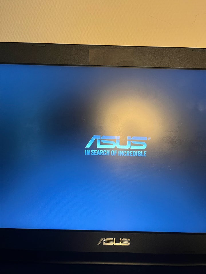 Asus, Rimelig