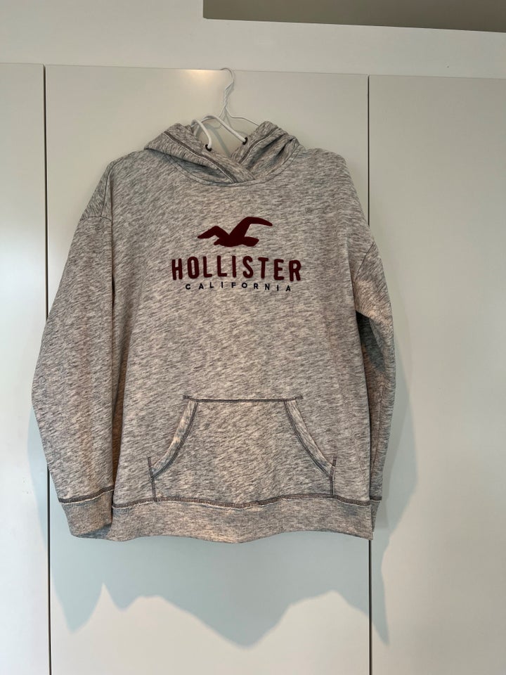 Hættetrøje, Hollister, str. 42