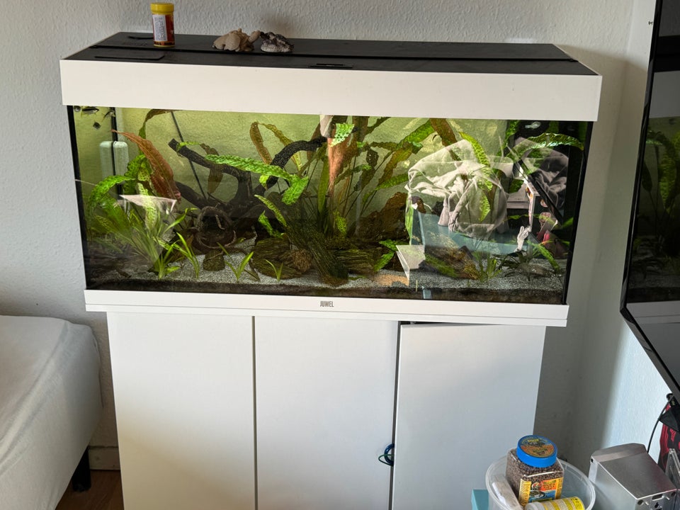 Akvarium, 180 liter, b: 100 d: 40 h: