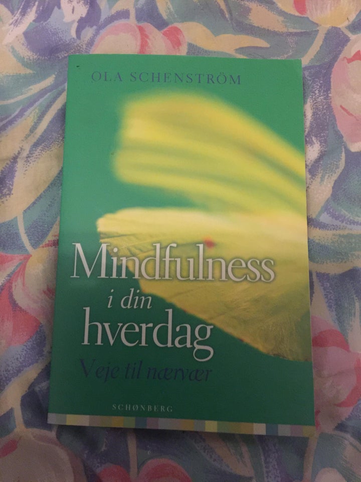 Mindfulness i din hverdag + CD CD