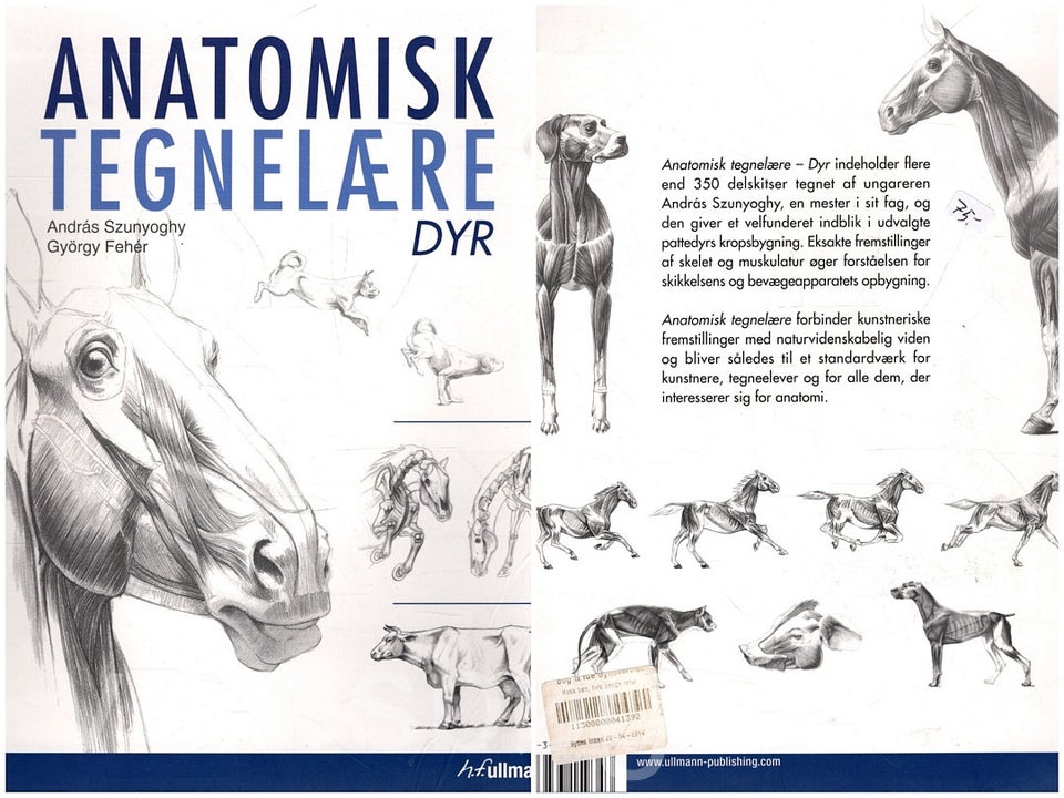 Anatomisk tegnelære - dyr emne: