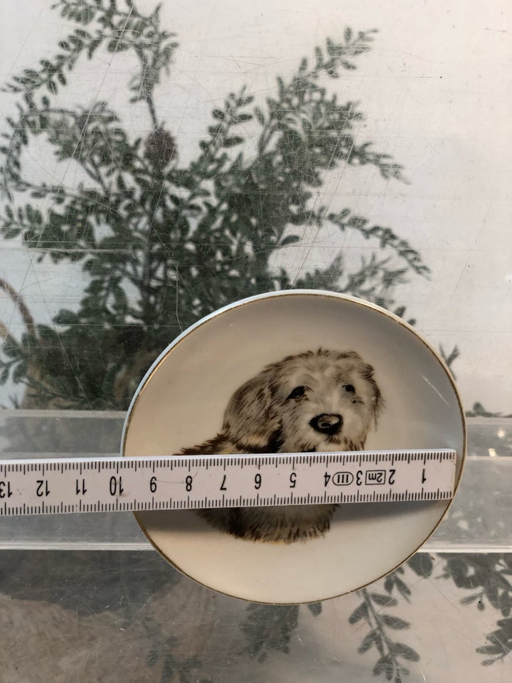 Porcelæn Hund tallerken