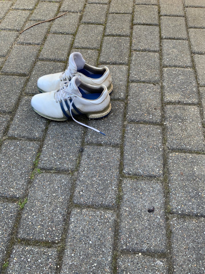 Golfsko Addidas