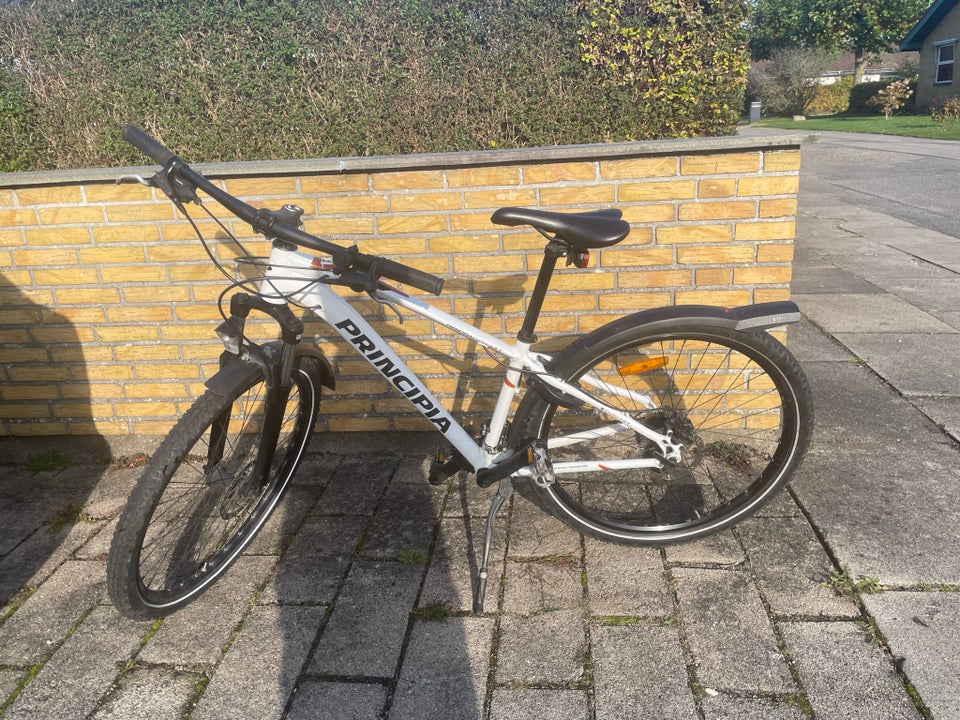 Principia, anden mountainbike, 21