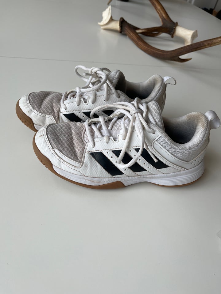 Sportssko str 36 Adidas