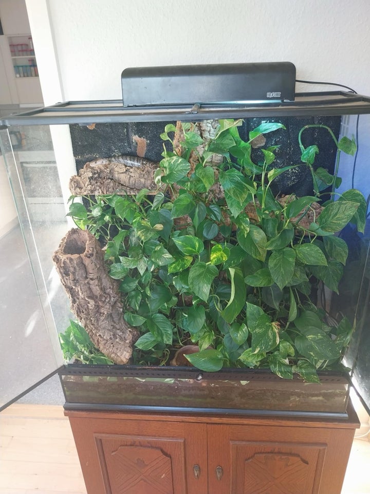 Terrarium, b: 90 d: 45 h: 90