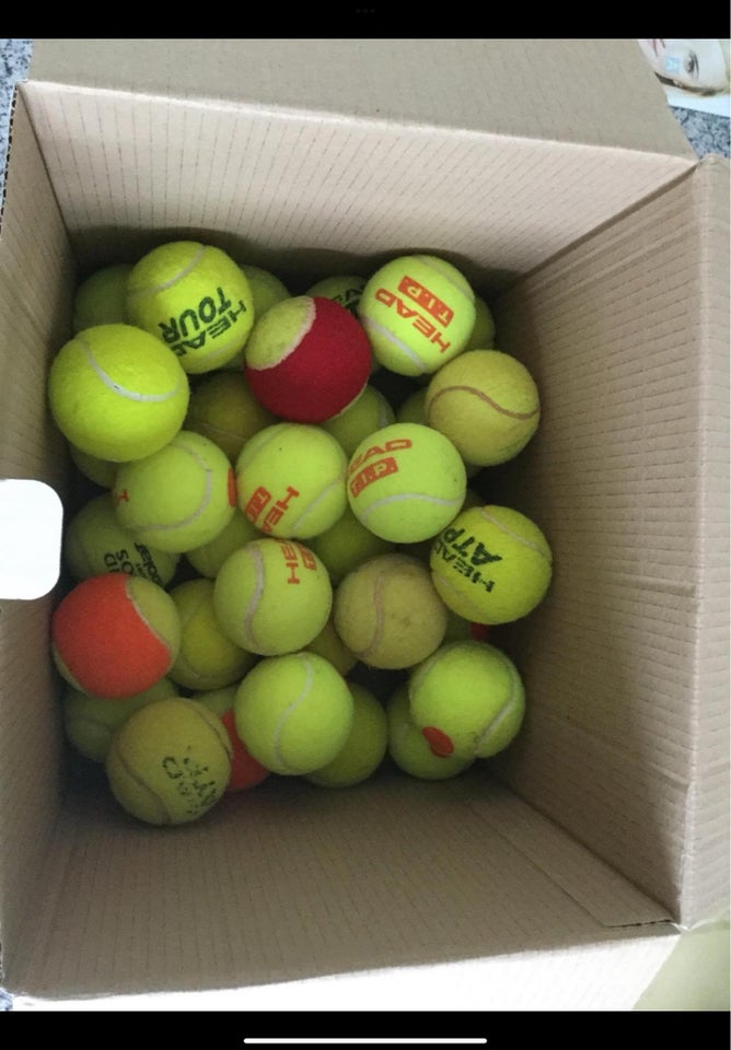 Tennisbolde Blandet