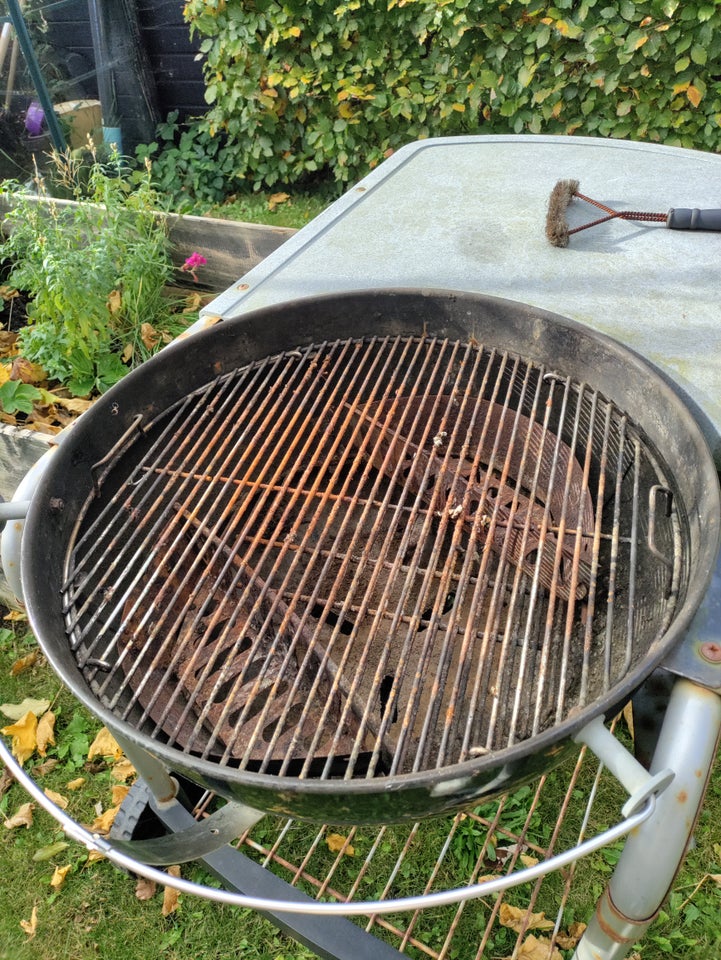 Gasgrill