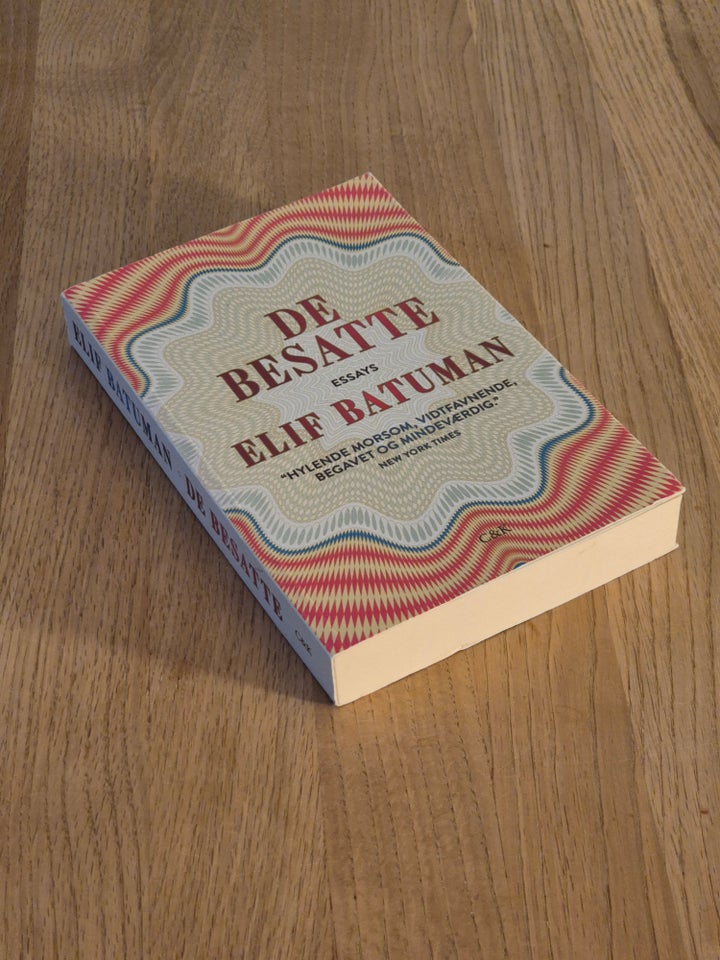 De besatte Elif Batuman genre: