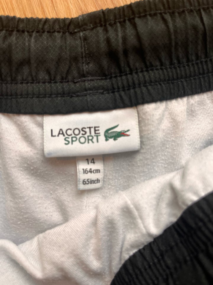 Shorts, Lacoste sport shorts,