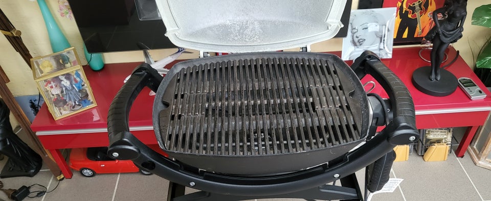 Elgrill Weber