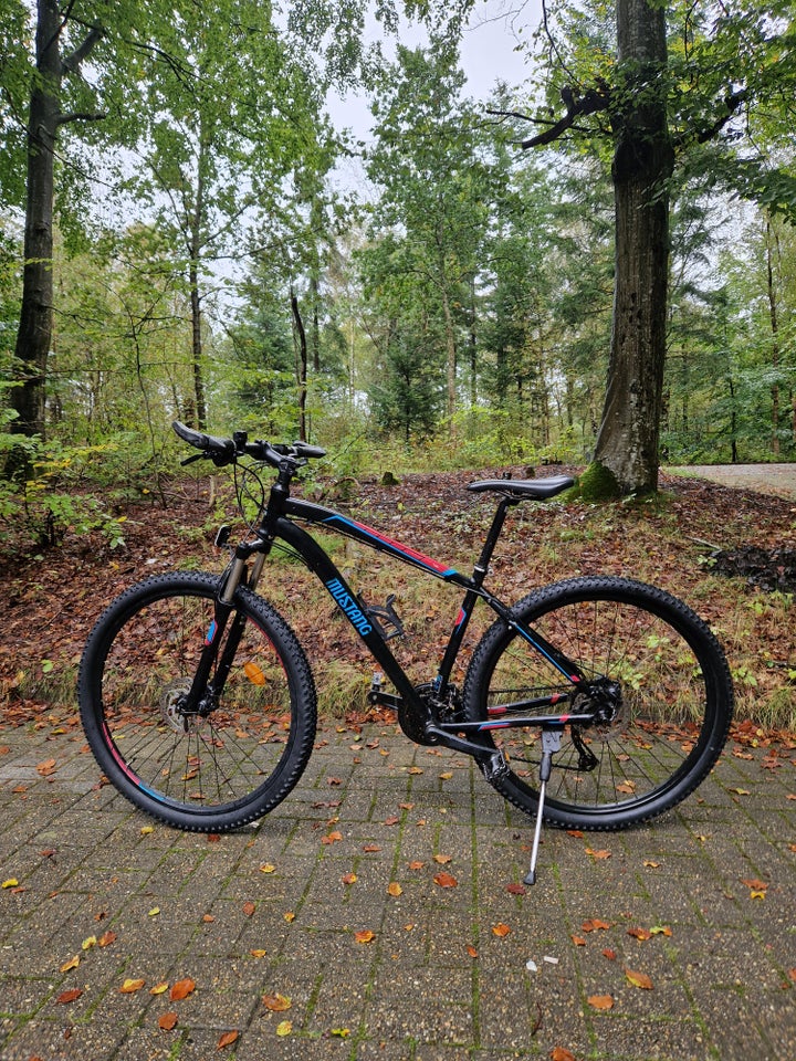 Mustang 29, anden mountainbike, 29