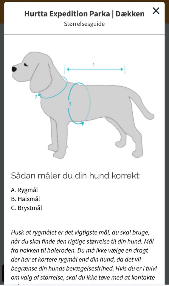 Hundedækken, Vinterdækken