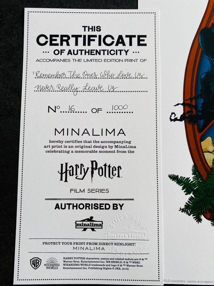 Harry Potter Standard Print