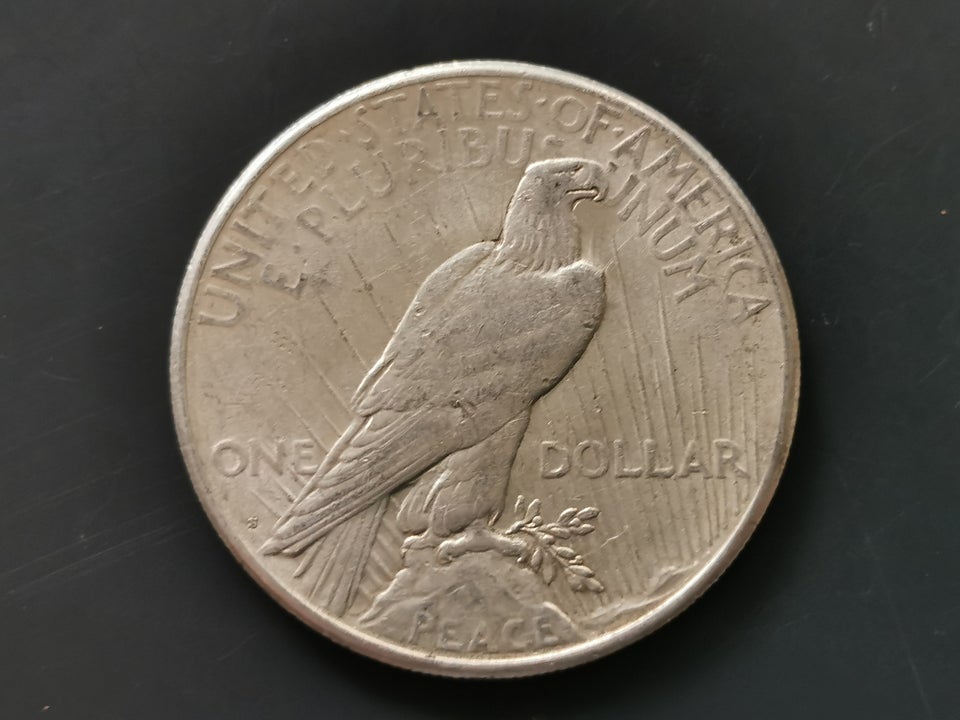 Amerika, mønter, 1 dollar