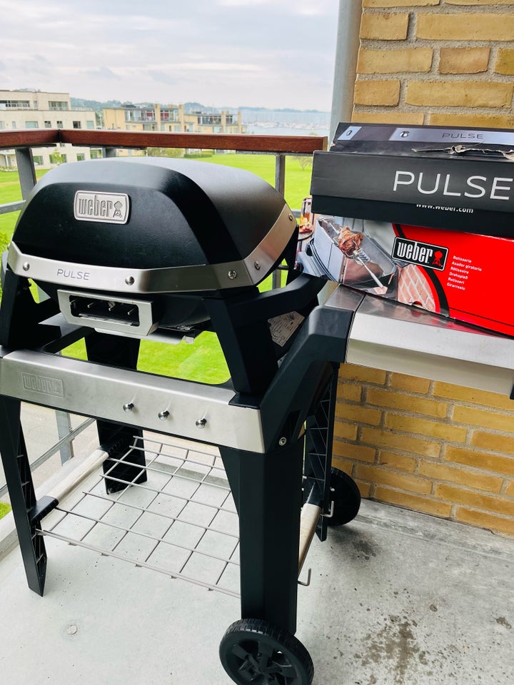 Elgrill Weber Pulse 2000