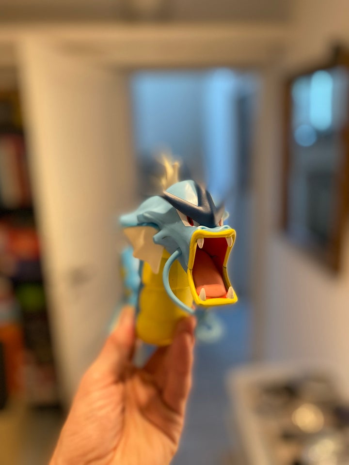 Pokemon Gyarados Epic Battle