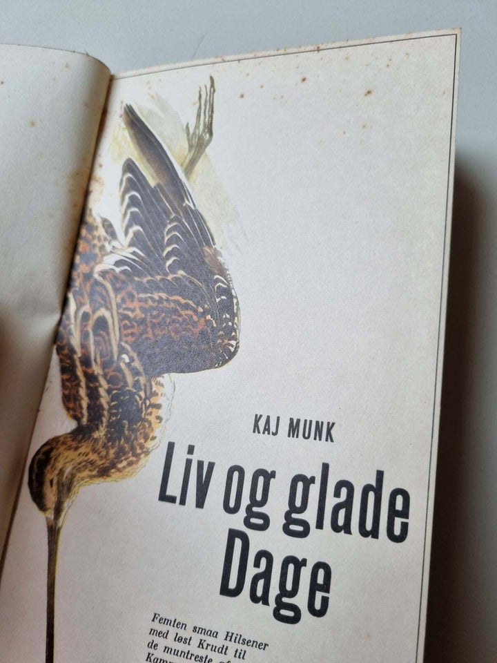 Liv og glade dage, Kaj Munk, Femte