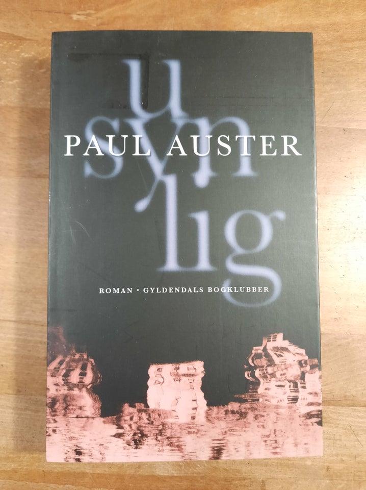 usynlig (2010), Paul Auster,