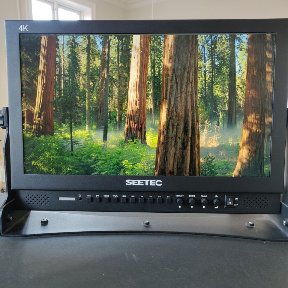 Seetec, Fuld HD Monitor