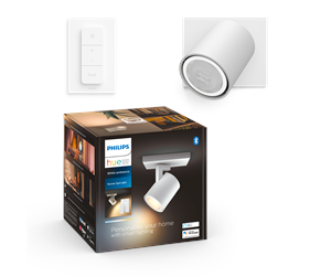 Spot Philips Hue