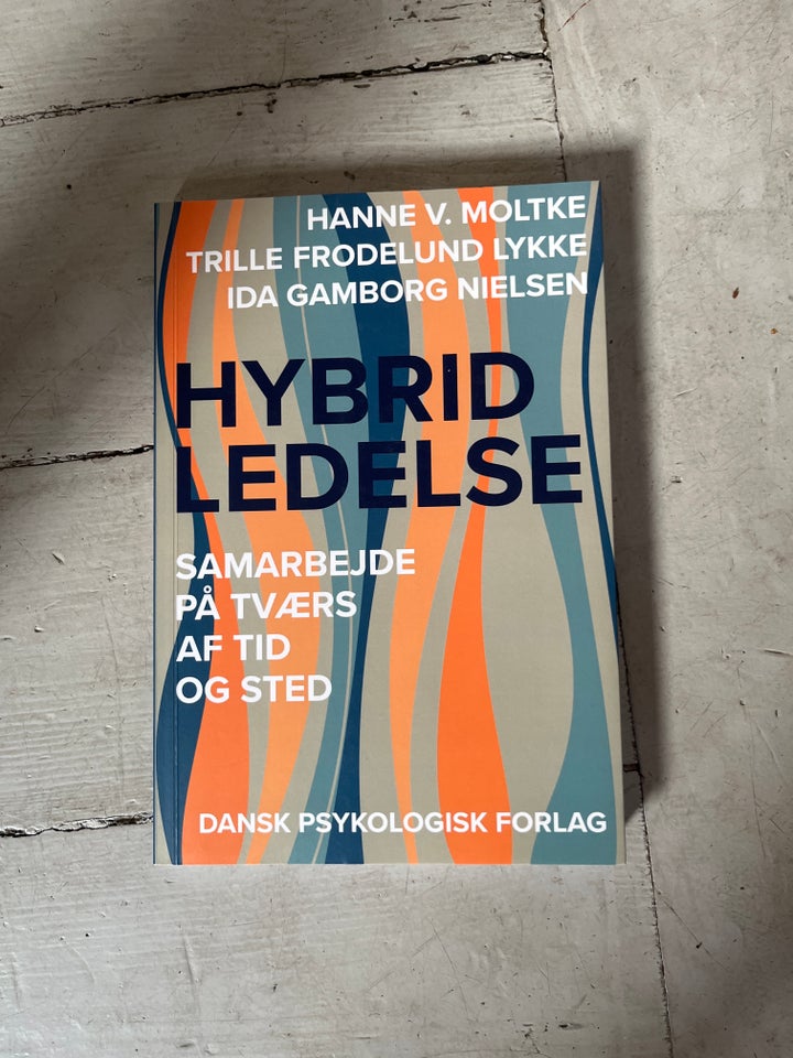 Hybridledelse, Hanne V. Moltke,