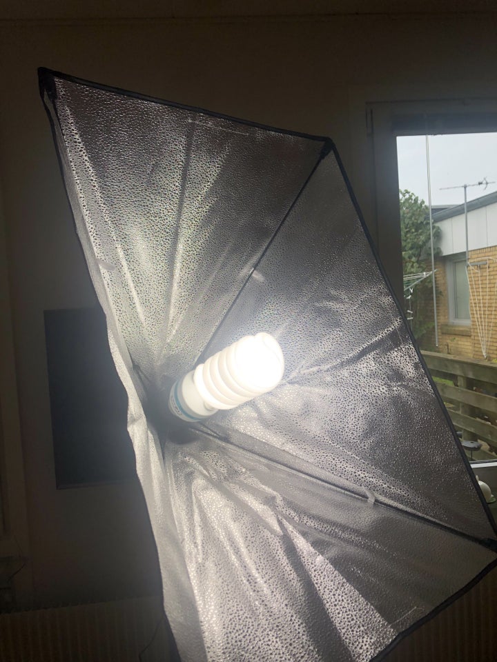 Softbox, 00, 00